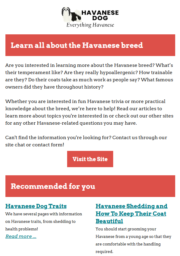 Learn all about the Havanese breed