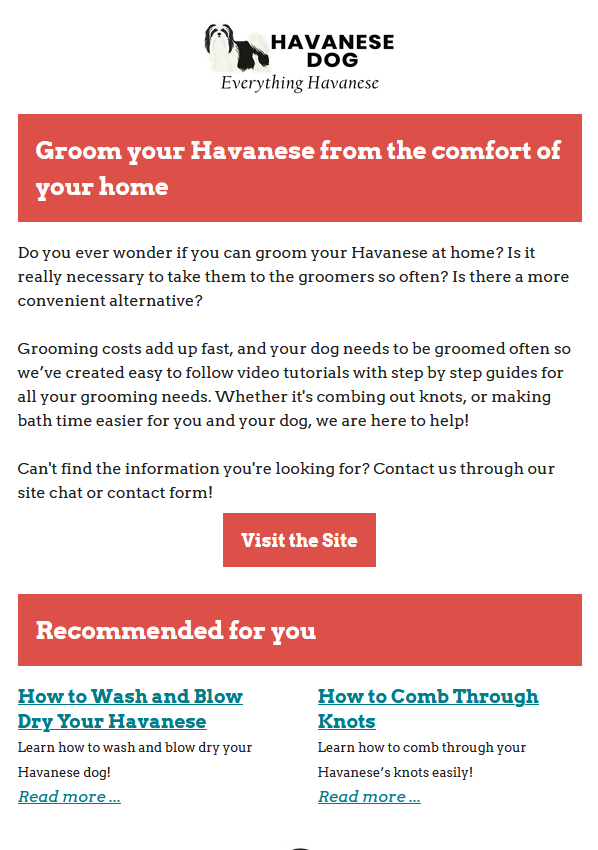 Groom your Havanese from the comfort of your home