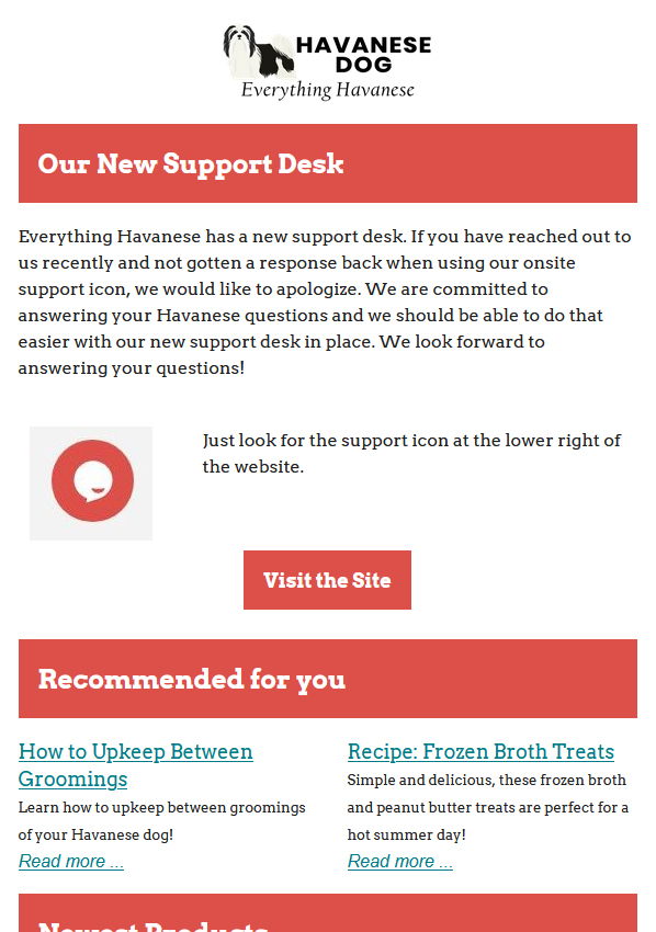 Our New Support Desk