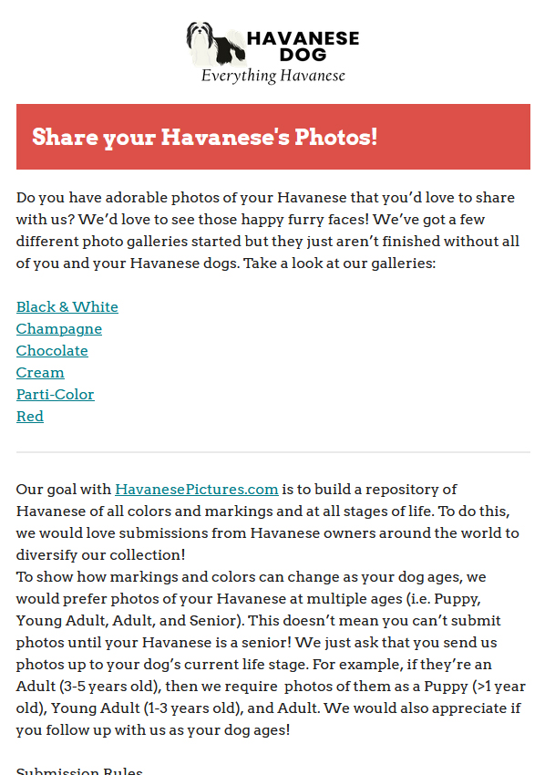 Share your Havanese's Photos!