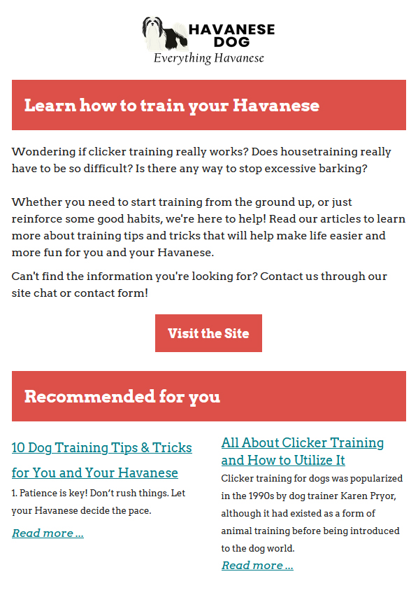 Learn how to train your Havanese
