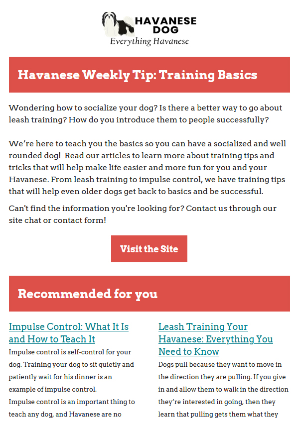 Havanese Weekly Tip: Training Basics
