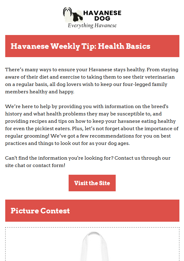 Havanese Weekly Tips: Health Basics