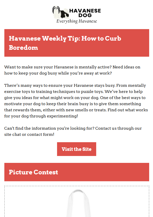 10-19-2021 - Havanese Weekly Tips - Ways to Curb Boredom