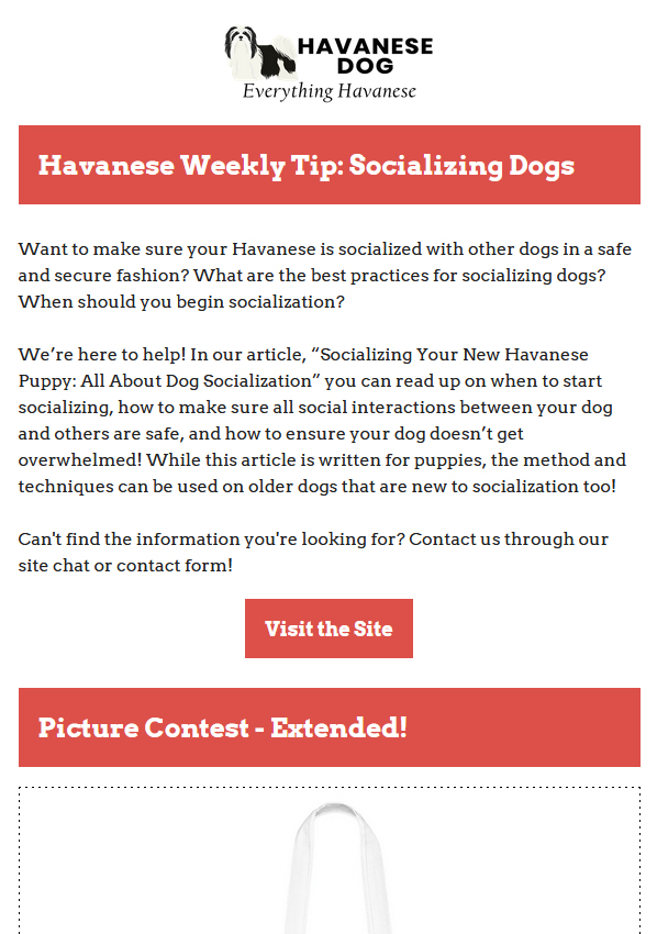 10-26-2021 - Havanese Weekly Tips - Socializing Dogs