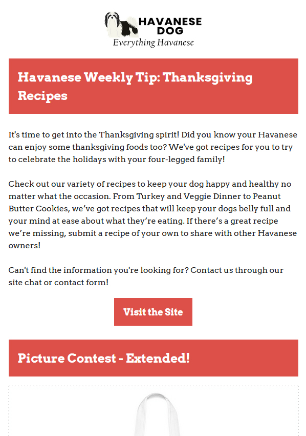 11-02-2021 - Havanese Weekly Tips - Thanksgiving Recipes