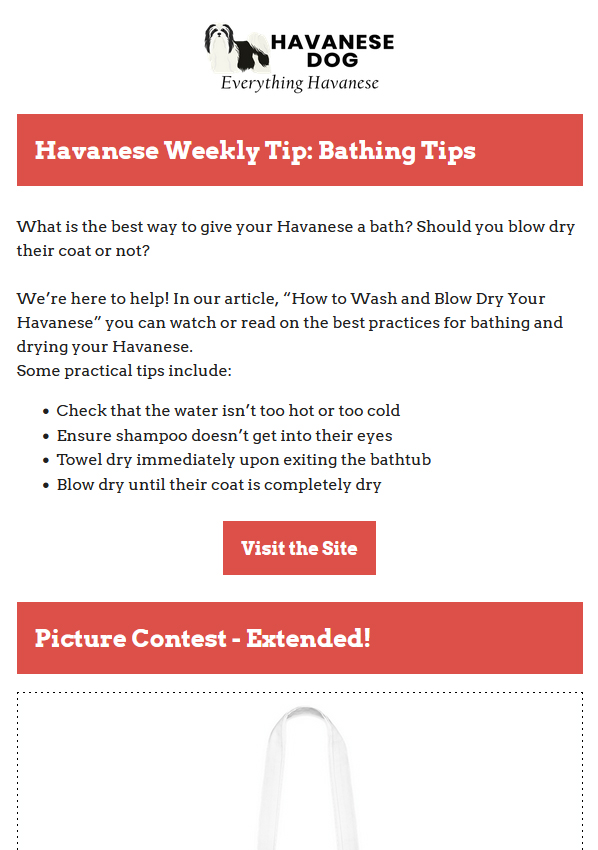 11-09-2021 - Havanese Weekly Tips - Tips on Bathing