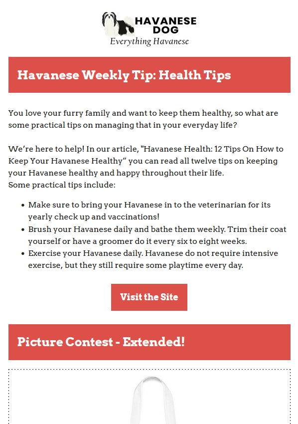 11-16-2021 - Havanese Weekly Tips - Health Tips