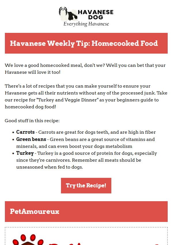 12-07-2021 - Havanese Weekly Tips - Homecooked Recipes