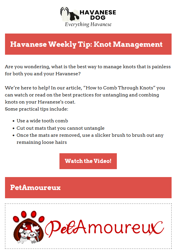12-14-2021 - Havanese Weekly Tips - Knot Management
