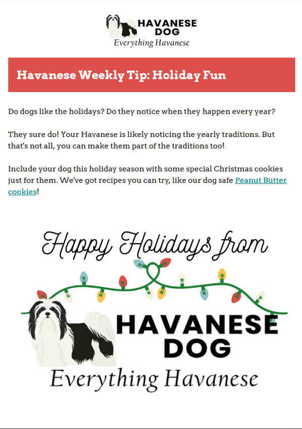 12-21-2021 - Havanese Weekly Tips - Holiday Fun